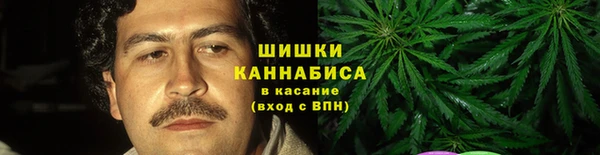 тгк Абаза