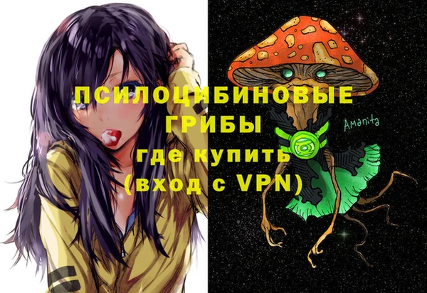 дживик Абинск