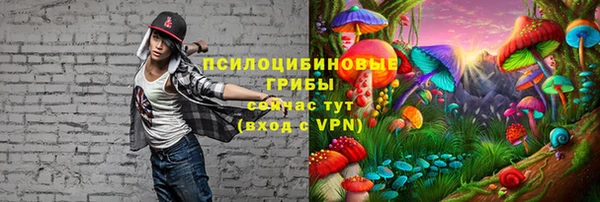 дживик Абинск