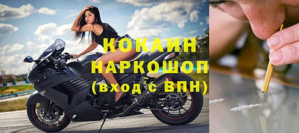 дживик Абинск