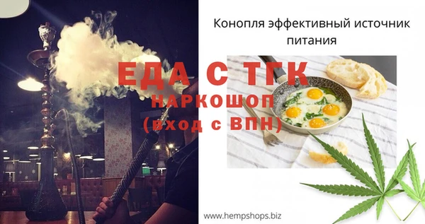 тгк Абаза