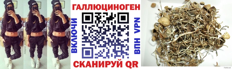 Галлюциногенные грибы GOLDEN TEACHER  купить закладку  Юрюзань 